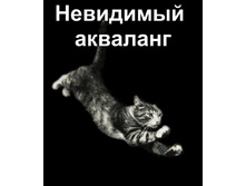 16.11.2010 12:01:15