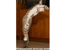 16.11.2010 12:01:23