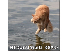 16.11.2010 12:01:28