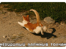 16.11.2010 12:01:30