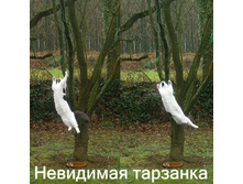 16.11.2010 12:01:36