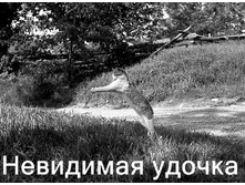 16.11.2010 12:01:38