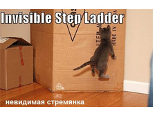 16.11.2010 12:01:42
