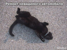 16.11.2010 12:01:48