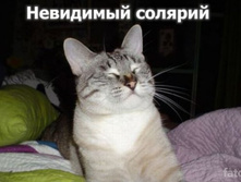 16.11.2010 12:01:50