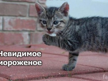 16.11.2010 12:01:51