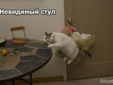 16.11.2010 12:01:52