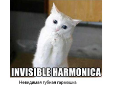 16.11.2010 12:01:54