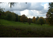 S6301696.JPG