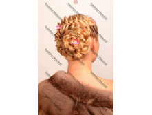 getImage95.jpg