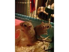 01.10.2009 1:09:32