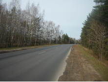 P1250236.JPG