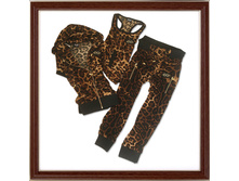 D&G 2400�