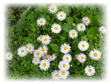���������� DSCN3340-001.JPG