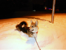 DSCN0142.JPG