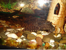 04.10.2009 16:30:18