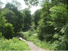 DSCF6100.JPG