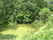 DSCF6119.JPG
