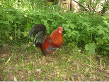 DSCF6123.JPG