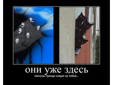 0a0ce5ba1bb088b96c27b9716bca7761.jpg