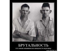 95.jpg
