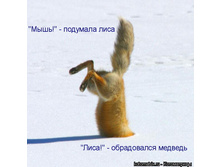 972789.jpg