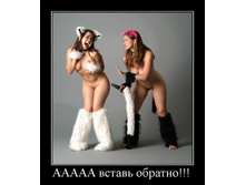 1247580860_323370_aaaaa-vstav-obratno.jpg