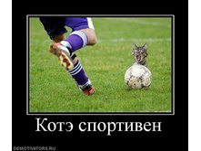 bRkHcdZHJqj1N.jpg
