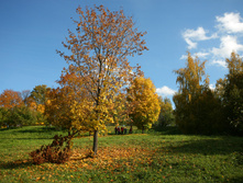 05.10.2009 13:45:39