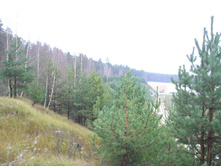 P1010025.JPG