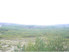 P1010027.JPG