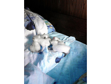 IMG_20121105_001426.jpg