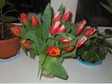 DSCN0478.JPG