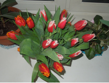 DSCN0479.JPG