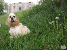 DSCF3102.JPG