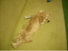 DSCN4303.JPG