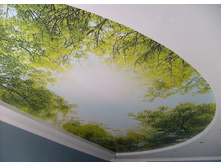 bigsaros-design-54.jpg