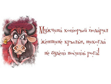 Ldvb3jTJJf8.jpg