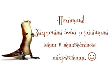 v_eNAAy-GUE.jpg