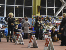 DSC_1212.JPG