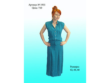 1955.jpg