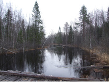 DSCF1156.JPG