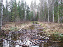 DSCF1160.JPG