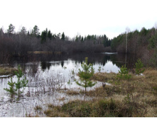 DSCF1167.JPG