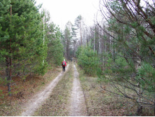DSCF1177.JPG