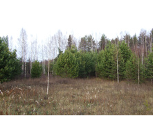DSCF1187.JPG