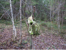 DSCF1189.JPG