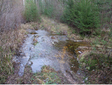 DSCF1192.JPG