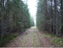 DSCF1205.JPG