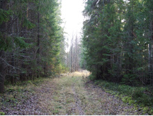 DSCF1206.JPG